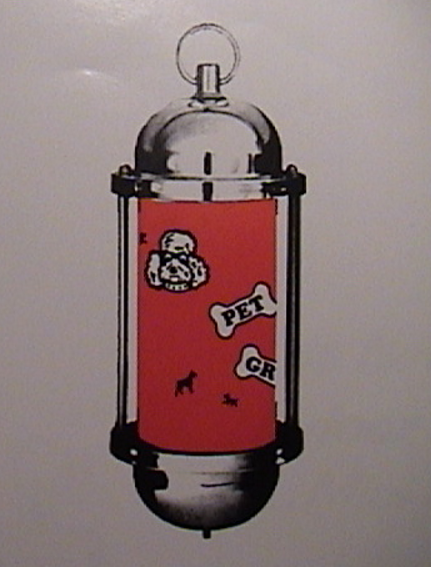 The Mini Pole--Indoor Only