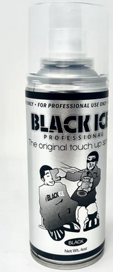 BlackIce touch up spray 4oz